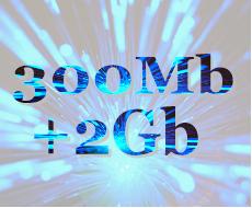 UDomain - 300Mb International Bandwidth & 2Gb Local Bandwidth